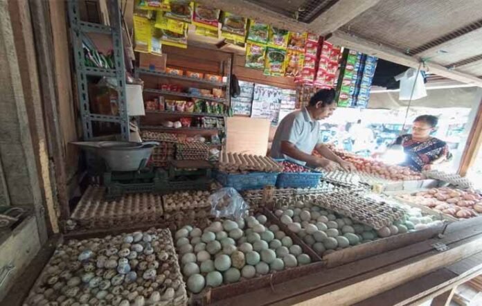 Harga pangan melonjak naik